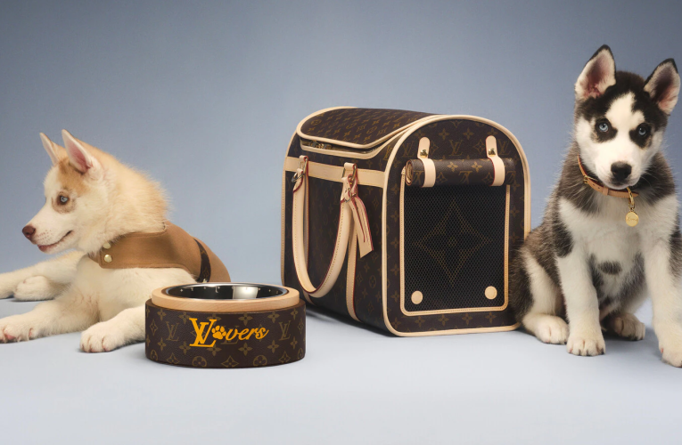 Louis Vuitton Malle Chien Carrying Dog Sleek Trunk M10063: Luxury Redefined for Pets